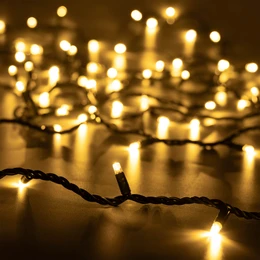 Фото #1 товара Светодиодная гирлянда ARD-STRING-PRO-10000-GREEN-100LED-STD WARM (230V, 7W) (Ardecoled, IP65)