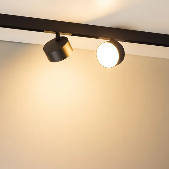 Фото #2 товара Светильник MAG-ORIENT-RONDO-R120-15W Warm3000 (BK, 110 deg, 48V) (Arlight, IP20 Металл, 5 лет)