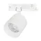 Минифото #1 товара Светильник LGD-DYKE-4TR-R100-36W Day4000 (WH, 38 deg, 230V) (Arlight, IP20 Металл, 5 лет)